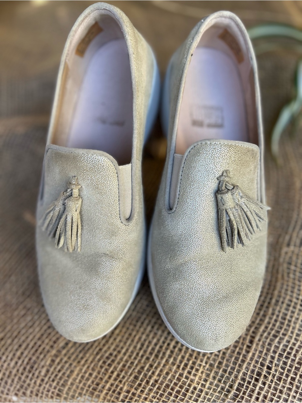 Fitflop shoes - Picture 3 of 6